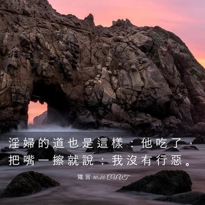 Picture 03 - 箴 言 30:20 CUVT - 淫 婦 的 道 也 是 這 樣 ： 他 吃 了 - Bible Verse Picture