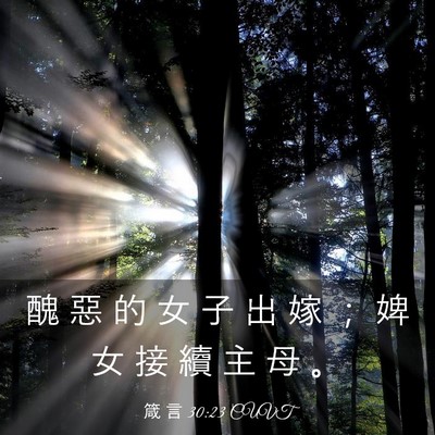 Picture 03 - 箴 言 30:23 CUVT - 醜 惡 的 女 子 出 嫁 ； 婢 女 接 續 - Bible Verse Picture