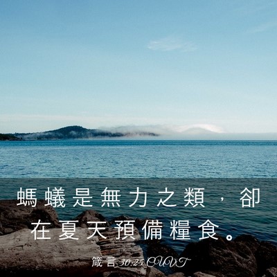 Picture 03 - 箴 言 30:25 CUVT - 螞 蟻 是 無 力 之 類 ， 卻 在 夏 天 - Bible Verse Picture