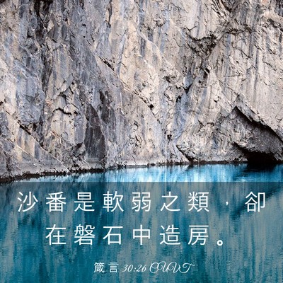 Picture 03 - 箴 言 30:26 CUVT - 沙 番 是 軟 弱 之 類 ， 卻 在 磐 石 - Bible Verse Picture