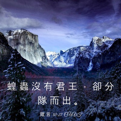 Picture 03 - 箴 言 30:27 CUVT - 蝗 蟲 沒 有 君 王 ， 卻 分 隊 而 出 - Bible Verse Picture