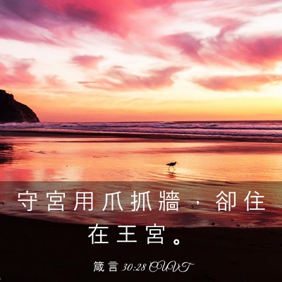 Picture 03 - 箴 言 30:28 CUVT - 守 宮 用 爪 抓 牆 ， 卻 住 在 王 宮 - Bible Verse Picture