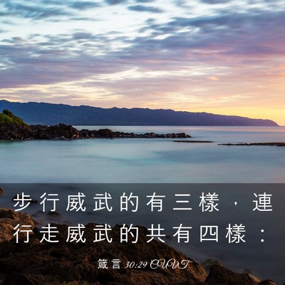Picture 03 - 箴 言 30:29 CUVT - 步 行 威 武 的 有 三 樣 ， 連 行 走 - Bible Verse Picture