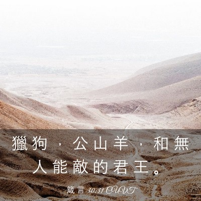 Picture 03 - 箴 言 30:31 CUVT - 獵 狗 ， 公 山 羊 ， 和 無 人 能 敵 - Bible Verse Picture