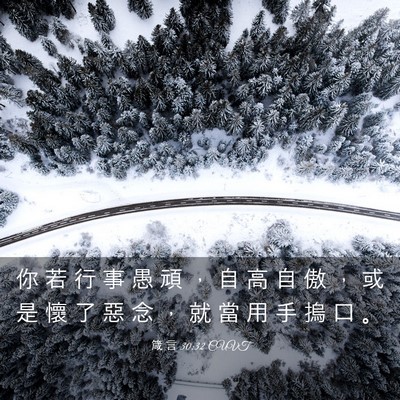 Picture 03 - 箴 言 30:32 CUVT - 你 若 行 事 愚 頑 ， 自 高 自 傲 ， - Bible Verse Picture
