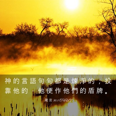 Picture 03 - 箴 言 30:5 CUVT - 神 的 言 語 句 句 都 是 煉 淨 的 ； - Bible Verse Picture