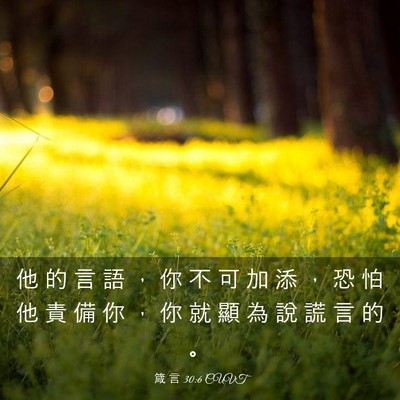 Picture 03 - 箴 言 30:6 CUVT - 他 的 言 語 ， 你 不 可 加 添 ， 恐 - Bible Verse Picture