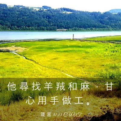 Picture 03 - 箴 言 31:13 CUVT - 他 尋 找 羊 羢 和 麻 ， 甘 心 用 手 - Bible Verse Picture