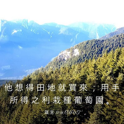 Picture 03 - 箴 言 31:16 CUVT - 他 想 得 田 地 就 買 來 ； 用 手 所 - Bible Verse Picture