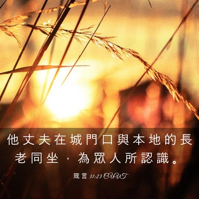 Picture 03 - 箴 言 31:23 CUVT - 他 丈 夫 在 城 門 口 與 本 地 的 長 - Bible Verse Picture