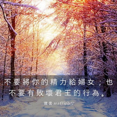 Picture 03 - 箴 言 31:3 CUVT - 不 要 將 你 的 精 力 給 婦 女 ； 也 - Bible Verse Picture