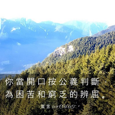 Picture 03 - 箴 言 31:9 CUVT - 你 當 開 口 按 公 義 判 斷 ， 為 困 - Bible Verse Picture