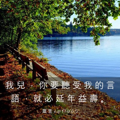 Picture 03 - 箴 言 4:10 CUVT - 我 兒 ， 你 要 聽 受 我 的 言 語 ， - Bible Verse Picture