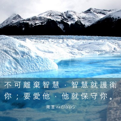 Picture 03 - 箴 言 4:6 CUVT - 不 可 離 棄 智 慧 ， 智 慧 就 護 衛 - Bible Verse Picture