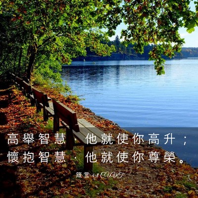 Picture 03 - 箴 言 4:8 CUVT - 高 舉 智 慧 ， 他 就 使 你 高 升 ； - Bible Verse Picture