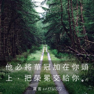 Picture 03 - 箴 言 4:9 CUVT - 他 必 將 華 冠 加 在 你 頭 上 ， 把 - Bible Verse Picture