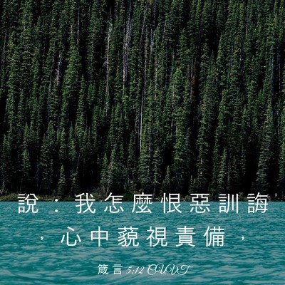 Picture 03 - 箴 言 5:12 CUVT - 說 ： 我 怎 麼 恨 惡 訓 誨 ， 心 中 - Bible Verse Picture