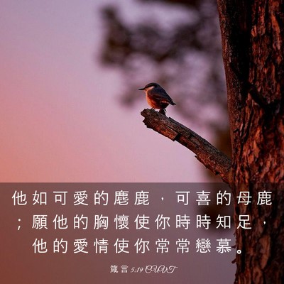 Picture 03 - 箴 言 5:19 CUVT - 他 如 可 愛 的 麀 鹿 ， 可 喜 的 母 - Bible Verse Picture