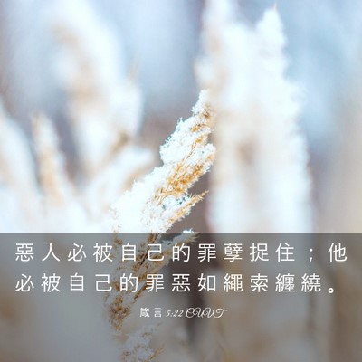 Picture 03 - 箴 言 5:22 CUVT - 惡 人 必 被 自 己 的 罪 孽 捉 住 ； - Bible Verse Picture