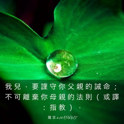 Picture 03 - 箴 言 6:20 CUVT - 我 兒 ， 要 謹 守 你 父 親 的 誡 命 - Bible Verse Picture