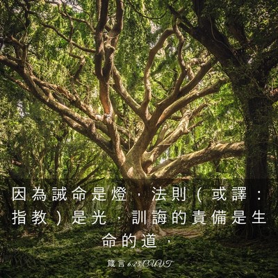 Picture 03 - 箴 言 6:23 CUVT - 因 為 誡 命 是 燈 ， 法 則 （ 或 譯 - Bible Verse Picture