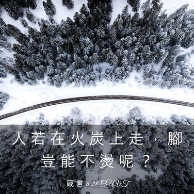 Picture 03 - 箴 言 6:28 CUVT - 人 若 在 火 炭 上 走 ， 腳 豈 能 不 - Bible Verse Picture