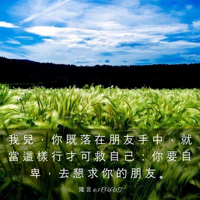 Picture 03 - 箴 言 6:3 CUVT - 我 兒 ， 你 既 落 在 朋 友 手 中 ， - Bible Verse Picture