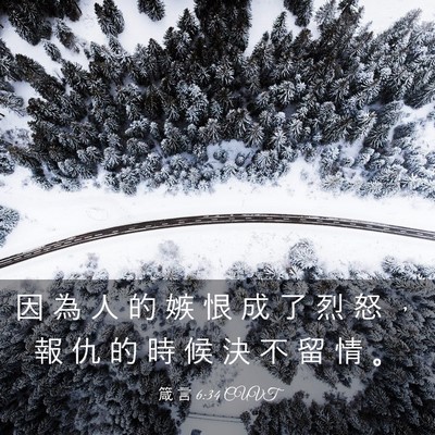 Picture 03 - 箴 言 6:34 CUVT - 因 為 人 的 嫉 恨 成 了 烈 怒 ， 報 - Bible Verse Picture