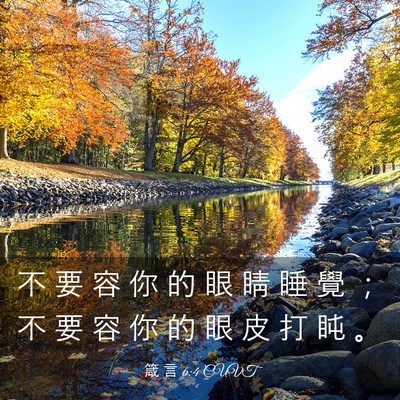 Picture 03 - 箴 言 6:4 CUVT - 不 要 容 你 的 眼 睛 睡 覺 ； 不 要 - Bible Verse Picture