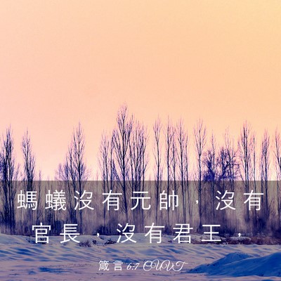 Picture 03 - 箴 言 6:7 CUVT - 螞 蟻 沒 有 元 帥 ， 沒 有 官 長 ， - Bible Verse Picture