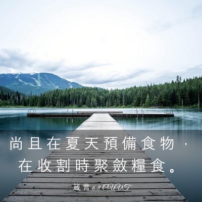 Picture 03 - 箴 言 6:8 CUVT - 尚 且 在 夏 天 預 備 食 物 ， 在 收 - Bible Verse Picture