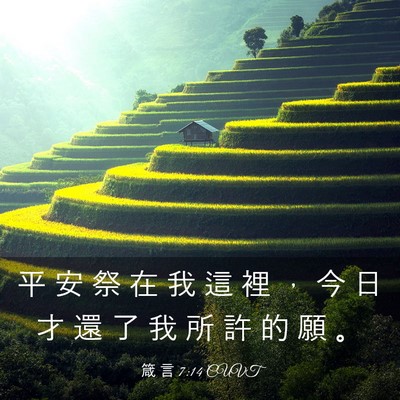 Picture 03 - 箴 言 7:14 CUVT - 平 安 祭 在 我 這 裡 ， 今 日 才 還 - Bible Verse Picture