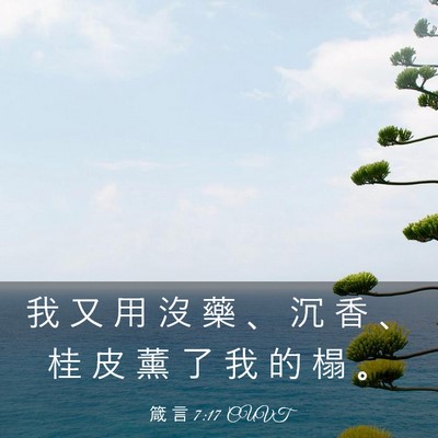 Picture 03 - 箴 言 7:17 CUVT - 我 又 用 沒 藥 、 沉 香 、 桂 皮 薰 - Bible Verse Picture