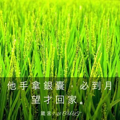 Picture 03 - 箴 言 7:20 CUVT - 他 手 拿 銀 囊 ， 必 到 月 望 才 回 - Bible Verse Picture