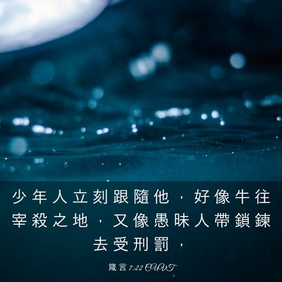 Picture 03 - 箴 言 7:22 CUVT - 少 年 人 立 刻 跟 隨 他 ， 好 像 牛 - Bible Verse Picture