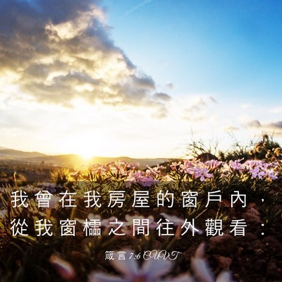 Picture 03 - 箴 言 7:6 CUVT - 我 曾 在 我 房 屋 的 窗 戶 內 ， 從 - Bible Verse Picture