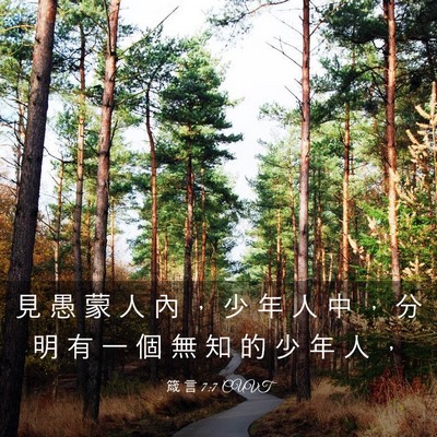 Picture 03 - 箴 言 7:7 CUVT - 見 愚 蒙 人 內 ， 少 年 人 中 ， 分 - Bible Verse Picture