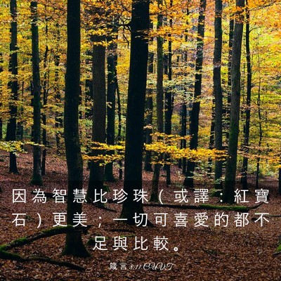 Picture 03 - 箴 言 8:11 CUVT - 因 為 智 慧 比 珍 珠 （ 或 譯 ： 紅 - Bible Verse Picture
