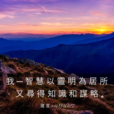 Picture 03 - 箴 言 8:12 CUVT - 我 ─ 智 慧 以 靈 明 為 居 所 ， 又 - Bible Verse Picture