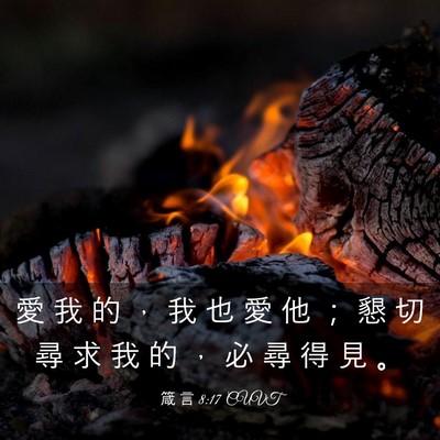 Picture 03 - 箴 言 8:17 CUVT - 愛 我 的 ， 我 也 愛 他 ； 懇 切 尋 - Bible Verse Picture