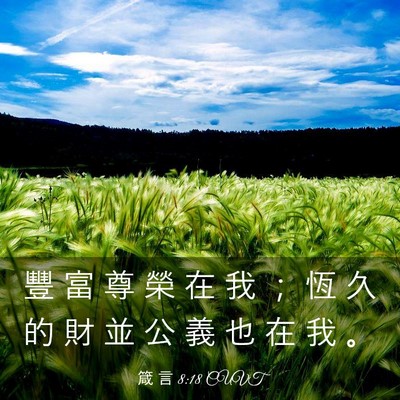 Picture 03 - 箴 言 8:18 CUVT - 豐 富 尊 榮 在 我 ； 恆 久 的 財 並 - Bible Verse Picture