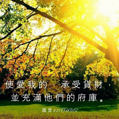 Picture 03 - 箴 言 8:21 CUVT - 使 愛 我 的 ， 承 受 貨 財 ， 並 充 - Bible Verse Picture