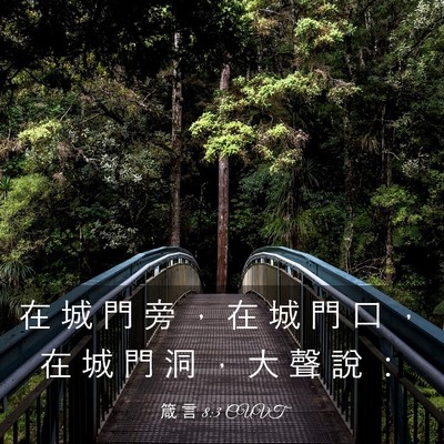 Picture 03 - 箴 言 8:3 CUVT - 在 城 門 旁 ， 在 城 門 口 ， 在 城 - Bible Verse Picture