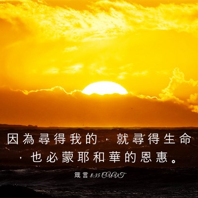 Picture 03 - 箴 言 8:35 CUVT - 因 為 尋 得 我 的 ， 就 尋 得 生 命 - Bible Verse Picture
