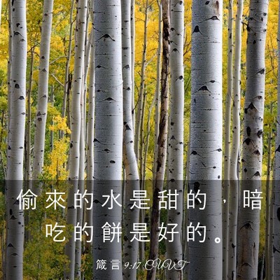 Picture 03 - 箴 言 9:17 CUVT - 偷 來 的 水 是 甜 的 ， 暗 吃 的 餅 - Bible Verse Picture