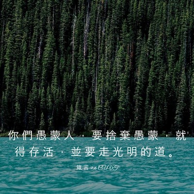 Picture 03 - 箴 言 9:6 CUVT - 你 們 愚 蒙 人 ， 要 捨 棄 愚 蒙 ， - Bible Verse Picture