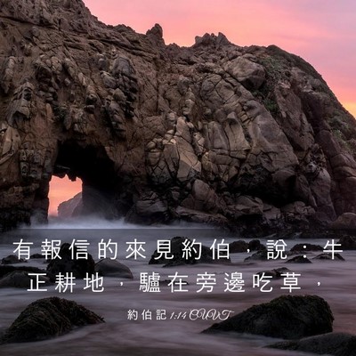 Picture 03 - 約 伯 記 1:14 CUVT - 有 報 信 的 來 見 約 伯 ， 說 ： 牛 - Bible Verse Picture