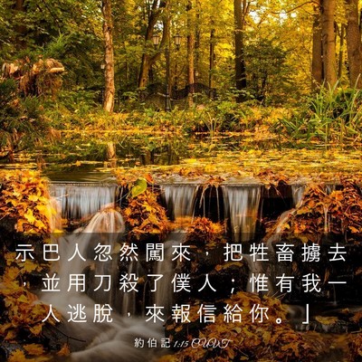 Picture 03 - 約 伯 記 1:15 CUVT - 示 巴 人 忽 然 闖 來 ， 把 牲 畜 擄 - Bible Verse Picture