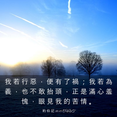 Picture 03 - 約 伯 記 10:15 CUVT - 我 若 行 惡 ， 便 有 了 禍 ； 我 若 - Bible Verse Picture