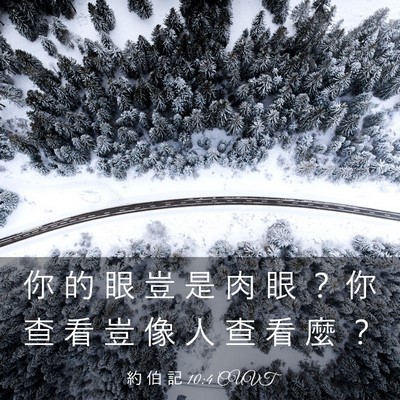 Picture 03 - 約 伯 記 10:4 CUVT - 你 的 眼 豈 是 肉 眼 ？ 你 查 看 豈 - Bible Verse Picture